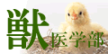 �b��w���󌱉ƒ닳�t